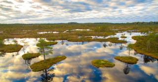 Всемирный день водно-болотных угодий: какой праздник отмечается 2 февраля