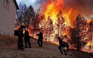 C 2002 года в мире ежегодно сгорал лес размером с Евросоюз