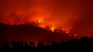 В ООН предрекли рост числа лесных пожаров по всему миру