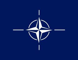 Стало известно, чем конкретно НАТО поможет Украине