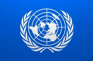 В ООН рассказали о жертвах среди гражданского населения во время войны в Украине