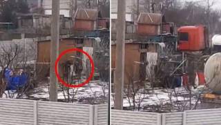 Появилось видео, как россияне с помощью палок воруют кур в украинских селах