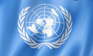 В ООН привели новые данные о жертвах среди мирного населения в Украине за дни войны