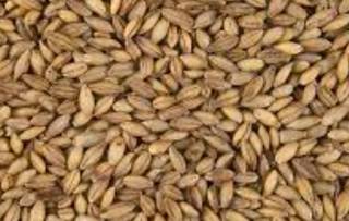 Украина будет экспортировать зерно новым способом