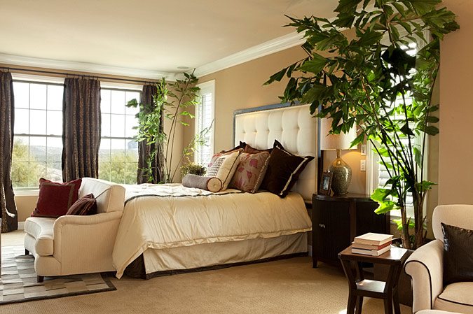 Правильное использование растений в спальне-залог хорошего сна и отдыха
