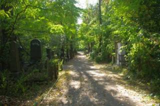 Киевлянам порекомендовали не посещать кладбища