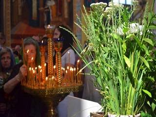 В УПЦ рассказали о традиции освящения зелени на Троицу