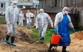 В МОЗ рассказали о ситуации с холерой в Украине