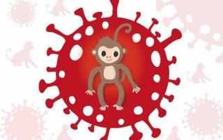 Ученые установили происхождение оспы обезьян