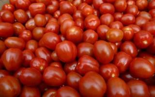 Медик рассказал о небывалой пользе томатов