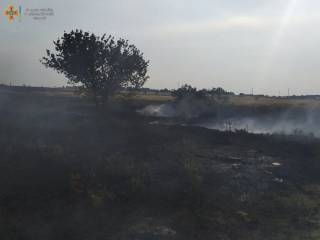 Из-за боевых действий в Николаевской области сгорел урожай ячменя
