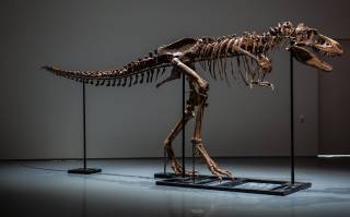 В США на аукционе продали скелет динозавра