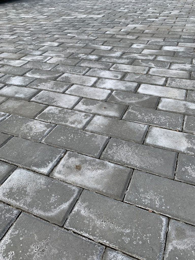 высолы на поверхности тротуарной плитки