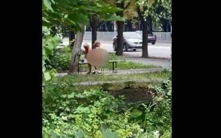 В Днепре парочка занялась сексом прямо посреди парка, не обращая внимание на прохожих