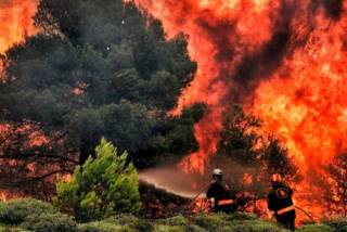 Лесные пожары нанесли рекордный урон Европе
