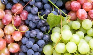 Диетолог рассказала, какой виноград – самый полезный