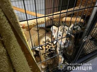 В Киеве перекрыли канал продажи животных из Красной книги