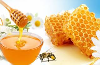 Где найти надежный магазин для настоящих пчеловодов