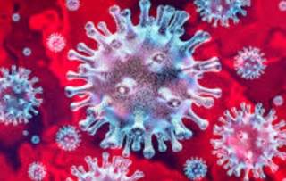 В ВОЗ заявили, что пандемия коронавируса уже завершается