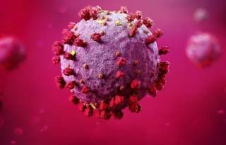 Ученые сделали скандальное заявление о происхождении коронавируса