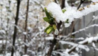 Синоптики рассказали украинцам о грядущем снегопаде