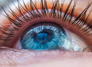 15 интересных фактов о глазах и зрении