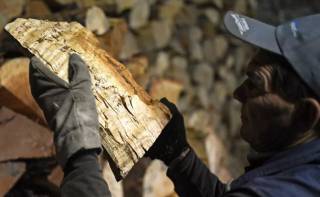 Европейцы в панике скупают дрова для обогрева зимой