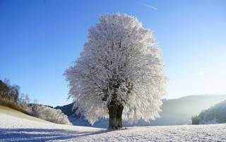 В Укргидрометцентре дали прогноз, какой будет зима