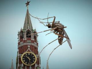 В Украине объявлена «мобилизация 300 тысяч комаров»
