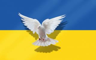 Мирные переговоры Украины и РФ - какова перспектива? <обновляется онлайн>