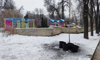 На месте падения обломков ракеты в центре Киева высадили каштаны