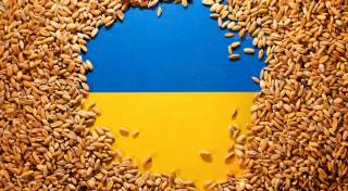 Украина бесплатно накормит голодающих африканцев