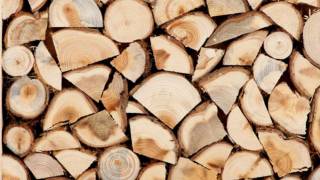 Украина сформировала рекордный запас топливной древесины