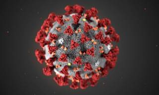 Ученые выяснили о коронавирусе кое-что действительно жуткое