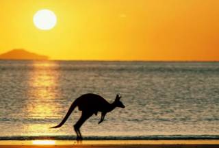 В Австралии вводят необычный сбор для туристов