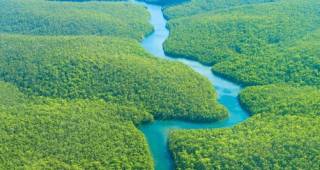 Ученые заявили, что люди уже уничтожили более трети лесов Амазонки