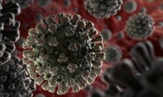 Стало известно, может ли коронавирус спровоцировать рак