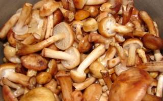 В Одессе девушка отравилась маринованными грибами с Привоза