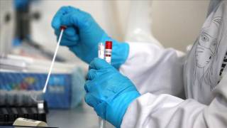 Новый штамм коронавируса зафиксирован в четырех областях Украины