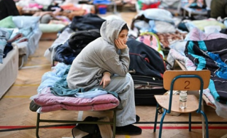 Стало известно, хотят ли украинские беженцы возвращаться домой