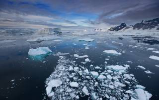 Площадь морского льда Антарктиды упала до рекордного за 45 лет уровня