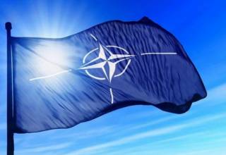 Стало известно, какую помощь от НАТО получила Украина в прошлом году