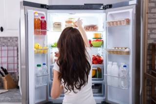 Холодильники BOSCH: как выбрать качественный и надежный холодильник