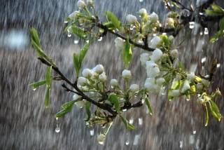 В Гидрометцентре дали подробный прогноз погоды на апрель