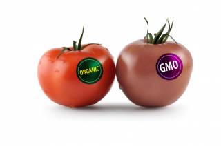 ГМО: вредно или нет?