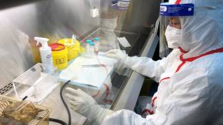 ВОЗ просит Китай поделиться информацией о происхождении коронавируса