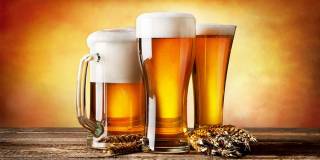Пиво: причины пить и не только пить