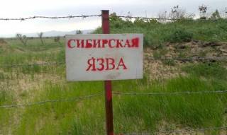 На Запорожье оккупанты раскопали сибирскую язву
