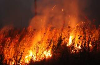 В ближайшие несколько дней некоторым областям Украины угрожают пожары