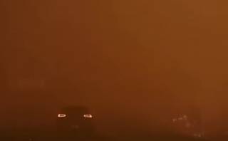 Опубликовано видео эпичного лесного пожара в Канаде